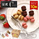 【エントリーでポイント10倍】お中元 2025 お菓子 お返し 内祝い 帰省 プレゼント 詰め合わせ ギフト 可愛い スイーツ 洋菓子 お祝い お礼 個包装 お配り おしゃれ クッキーCSC-21R サクッチ・ホロッチ 21個入