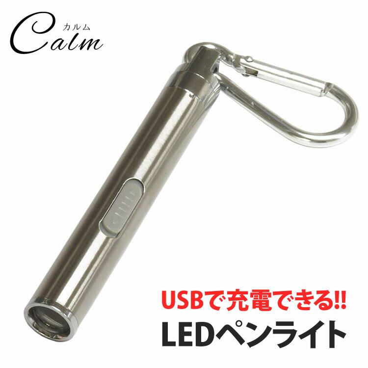 LEDペンライト USB充電式 コンパクト LED 高輝度 軽量 ステンレス キーホルダー キーチェーン カラビナ アウトドア