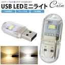 USB LEDライト ミニライト 両面発光 LED 2灯 小型 軽量 携帯 簡単点灯 キャップ付き コンパクト(2)