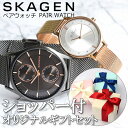 スカーゲン 腕時計（メンズ） 【ギフトラッピング無料】 ペアウォッチ スカーゲン 時計 SKAGEN 腕時計 メンズ レディース ユニセックス 男性 女性 セット カップル 恋人 夫婦 彼氏 彼女 プレゼント ギフト 記念日 誕生日 ブランド 定番 シンプル 薄型 生活 防水 メタル メッシュベルト 刻印可 名入れ可