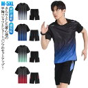 吸汗速乾 ランニングウェア トレーニングウェア 上下セット ハーフパンツ メンズ 半袖 Tシャツ 2点セット 夏物 薄手 スポーツウェア 無地 通気性 軽量 ド...