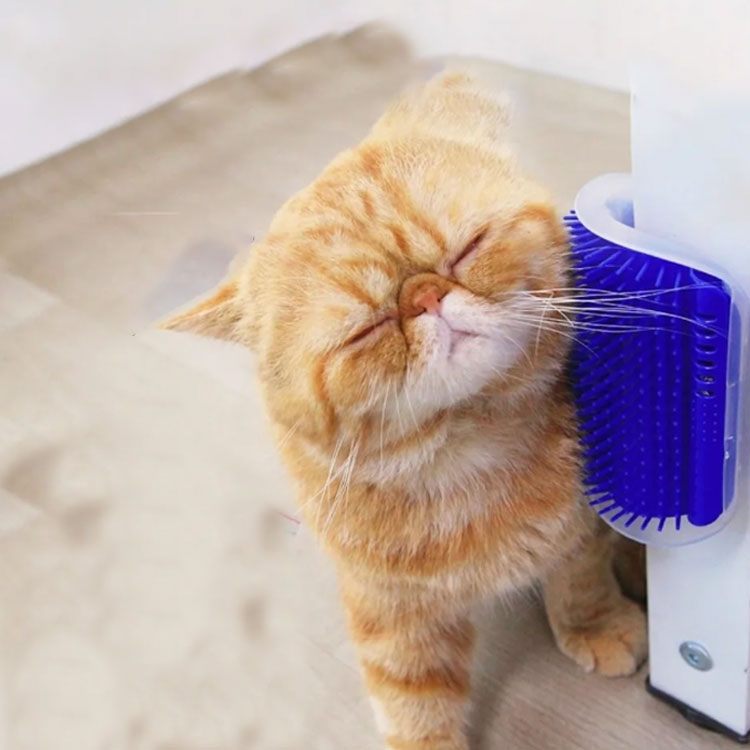 猫用 抜け毛取り 送料無料 トゲトゲ ノミ取り ネコ用 毛づくろい ペット用品 抜け...