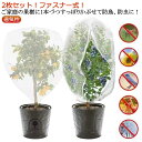菜園プランター用 虫害対策 防虫ネット 植物保護カバー 180x180cm 園芸 2枚セット/ファスナー付 果樹栽培 枝豆 鳥よけ ネット 果樹 メッシュ 防虫...