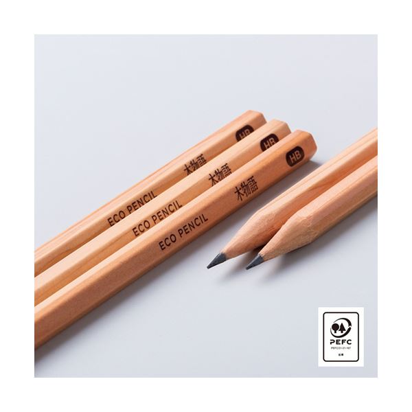 大額（DG）　叙勲額（4035）　勲章ケース収納タイプ　紺ドンス　勲記勲章額　【品番：277362】