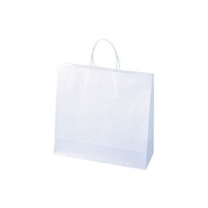 Bags - （まとめ）紙手提袋小100枚310X320X115mm【×2セット】