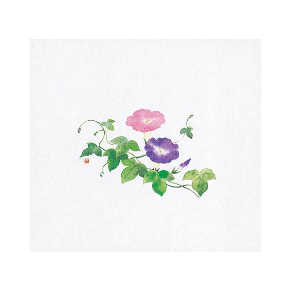 ヤマコー 用美 業務用 遠赤保鮮紙(大)朝顔 (100枚入) yamaco64884