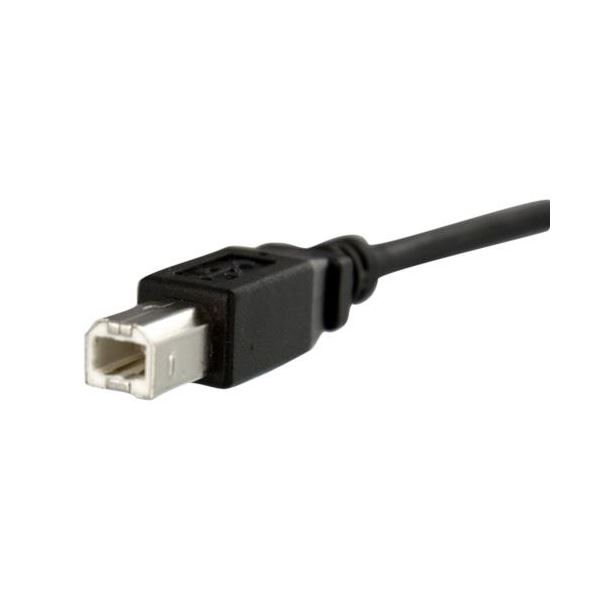 Shop E-ASUの（まとめ） StarTech.com USB2.0パネルマウント型ケーブル 90cm パネルマウント用USB Bポート（メス）-USBBポート（オス） ブラック USBPNLBFBM3 1本 【×3セット】｜アングル2