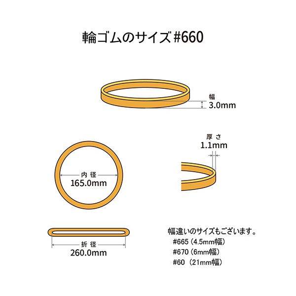 （まとめ） 共和 オーバンド#660 内径165mm 50g入 透明袋 GSA-N-029 1袋 【×5セット】