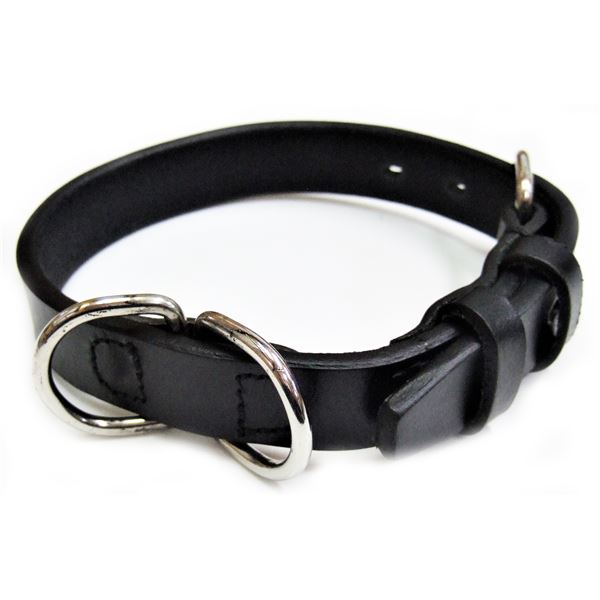 Collars, Harnesses, Leashes - オイルレザーカラー #21 ブラック （ペット用品・犬用）