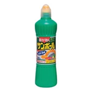 （まとめ）大日本除蟲菊 サンポール ノズル付 500ml【×30セット】