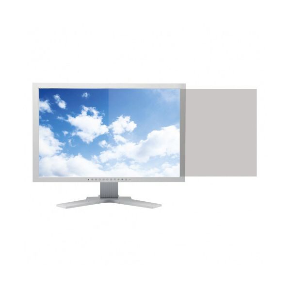 サンワサプライ 液晶パソコンフィルター ブルーライトカットタイプ スタンダード 17.3型ワイド（16：9）用 CRT-ND70ST173WN1枚