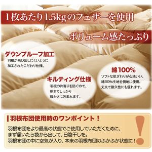 【単品】掛け布団 ワインレッド セミダブル 新20色羽根掛布団