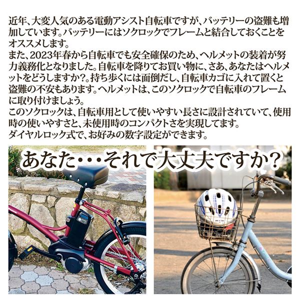 自転車用 鍵 ロック 〔 ショート ベージュ 〕 SL-02BG バッテリー用鍵 ヘルメット...