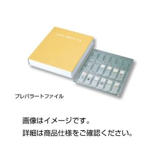 (まとめ)プレパラートファイルPT【×3セット】 (まとめ)プレパラートファイルPT【×3セット】