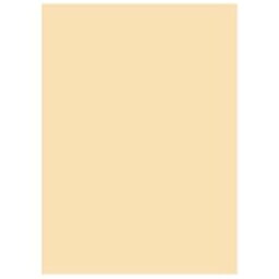 (業務用5セット) 北越製紙 カラーペーパー/リサイクルコピー用紙 【B4 500枚×5冊】 日本製 アイボリー