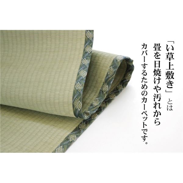 い草 上敷き/ラグマット 【糸引織 六一間6畳 約277×370cm】 抗菌 防臭 調湿 日本製 減農薬栽培 熊本県八代産イ草使用【代引不可】 [3]