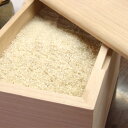 泉州 留河 桐の米びつ 無地30kg