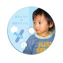 （まとめ）サンワサプライ インクジェットフォト光沢DVD／C