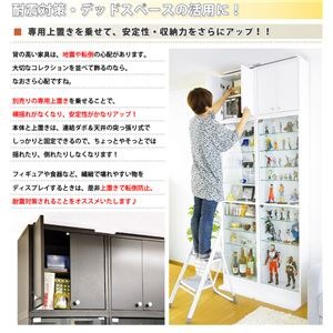 ショーケース/コレクションラック 【深型 ハイタイプ専用上置き ダークブラウン】 幅48.5cm 耐震用突っ張り付き【代引不可】 [3]