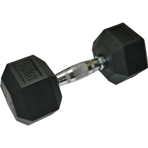 ポパイアレー10kg【x2本セット】ダンベル10kg ポパイアレー10kg【x2本セット】ダンベル10kg