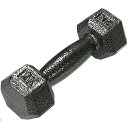 鉄アレー ダンベル 【2kg×10本】防滑 防傷 転がりにくい仕様 〔スポーツ用品 運動用品〕(4)