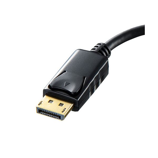(まとめ）サンワサプライDisplayPort-DVI変換アダプタ AD-DPDVA01 1個【×3セット】