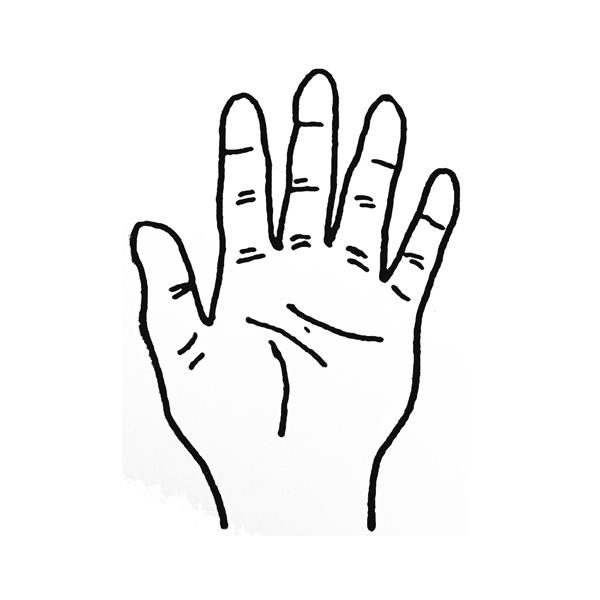 ティティメディカル 医学ゴム印手の平・左 小判 1個