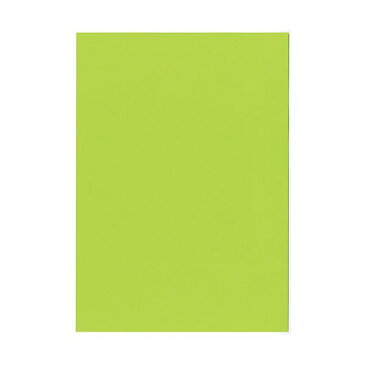 北越コーポレーション 紀州の色上質A3Y目 薄口 みどり 1箱(2000枚:500枚×4冊)