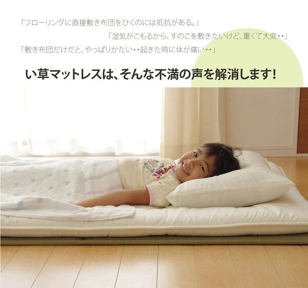 折りたたみ マットレスい草マットレス ダブル140×210cm【代引不可】 [3]