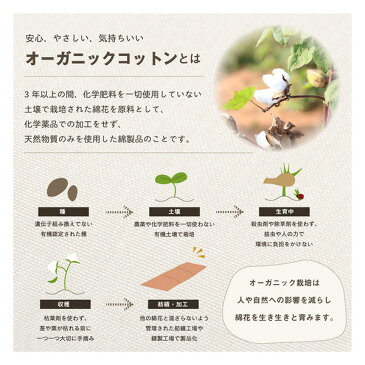 クッション フリーシート ソファ 車 日本製 オーガニックコットン 綿100% 無地 洗える ピンク 約43×130cm【代引不可】