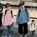 送料無料 キッズ セーター 男の子 ニット セーター 子供服 男の子 ニット セーター 暖かい防寒 大きいサイズ 厚手セーター おしゃれ かわいい 通園 通学 小学生 中学生 高校生 韓国子供服セーター ジュニア 幼稚園 小学生90 100 110 120 130 140 150(4)