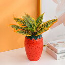 300円OFFクーポン 陶器 鉢 プランター 円筒形 多肉植物容器 多肉植物ポット 花瓶 いちご型の植木鉢 癒し かわいいプレゼント 穴無し 庭木鉢 おしゃれな...