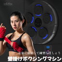 包帯2点特典つき ホームでストレス解消に 壁掛けボクシングマシン ミュージックボクシングマシン スマート 電子 ブルーツース トレーニング パンチング機器 家庭...