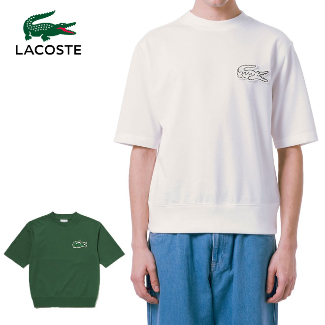 饳 Сå֥ॹåT ӥå LACOSTE SH058LJ-99 ۥ磻 ꡼ ݥ ץ  