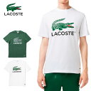 ラコステ ワニロゴグラフィックプリントTシャツ LACOSTE TH6396-99 グリーン132 ホワイト001 メンズ ワニ ロゴ