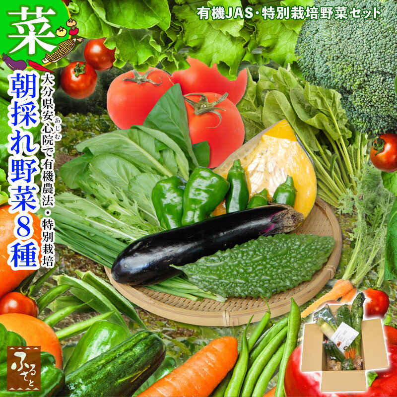 有機野菜 野菜詰め合わせ 大分県 安