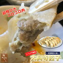 ゴロゴロ 肉 たっぷり 肉餃子 大興寺餃子 焼き餃子 冷凍 20個入 大分県産 お取り寄せ 餃子 ぎょうざ ギョウザ タレ フライパン ラー油 国産 冷凍 豚肉...