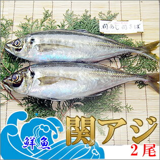 鮮魚 一本釣り活け締め 関アジ 400g×2尾 関あじ/鯵/佐賀関漁協