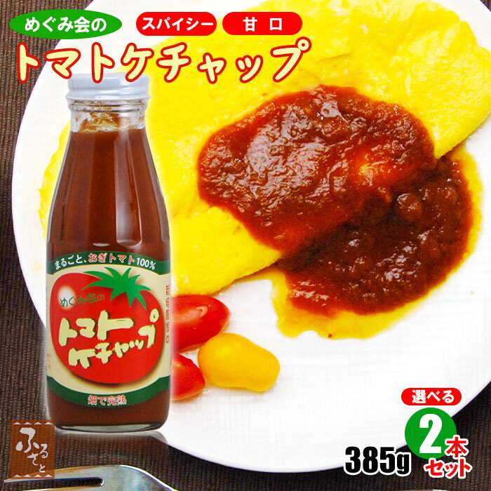 【 10% 割引 】 荻町 トマト ケチャップ めぐみ会 大分 選べるスパイシー＆甘口 385g×2本 高原トマト農家 エムナイン 減農薬栽培 送料無料 とまと 野菜 たっぷり ソース コク 瓶詰 パスタ 特産 瓶詰め 調味料