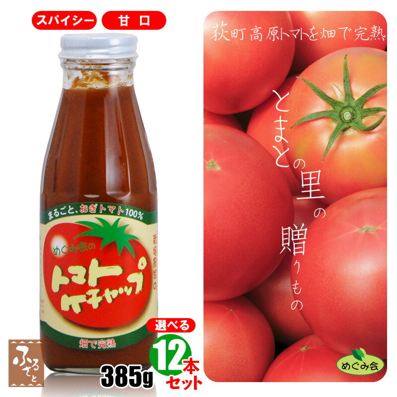荻町 トマト ケチャップ めぐみ会 
