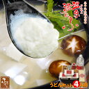 温泉湯豆腐 豆乳うどん 鍋セット 4人前 Bセット 琴平温泉源泉水 豆乳うどん 温泉 湯豆腐 湯どうふ 鍋の素 鍋つゆ お取り寄せ グルメ 送料無料 大分 日田...
