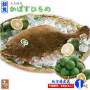 鮮魚 かぼすヒラメ 約 1kg ( 活け〆 / 5枚おろし / 丸 ) フルーツ魚 カボス ひらめ 平目 大分市公設地方卸売市場 直送 送料無料 刺身 海の幸
