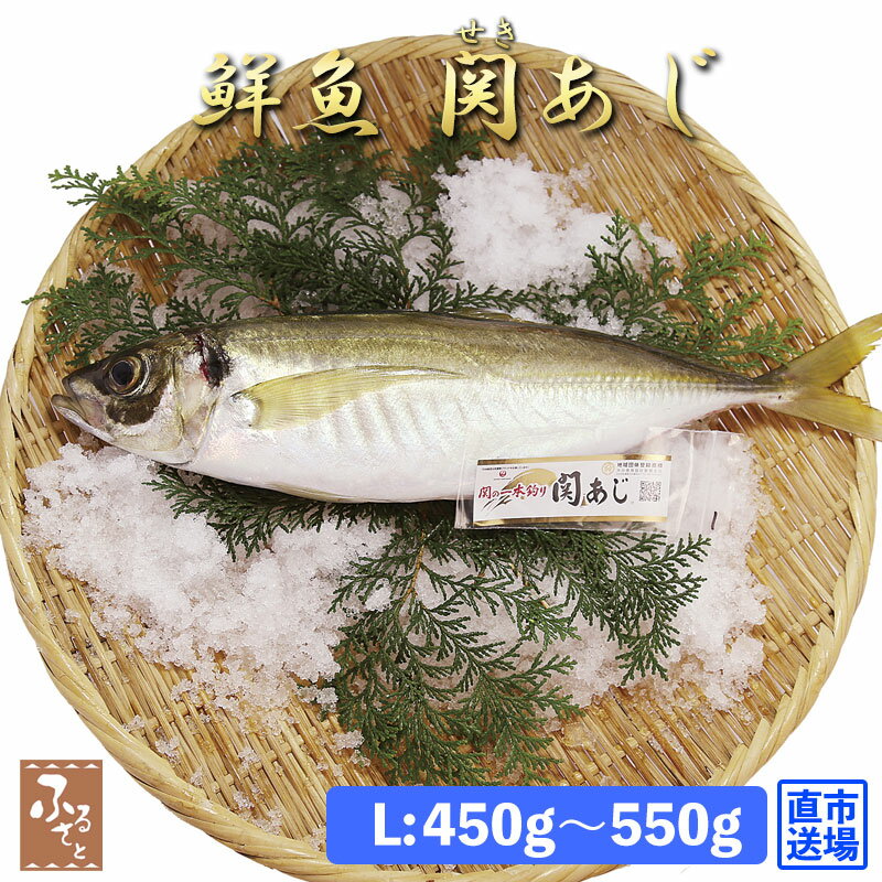 鮮魚 一本釣り 活け締め 大分 関アジ 約500g 村田水産 大分市公設地方卸売市場 産直 お取り寄せ アジ あじ 鰺 活け〆 活〆 刺身姿造り 魚介 魚 料理 大分県産 海産物 つまみ 関 豊後水道 高級 ブランド魚 送料無料 海の幸