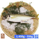 鮮魚 一本釣り 活け締め 大分 関アジ 約500g 村田水産