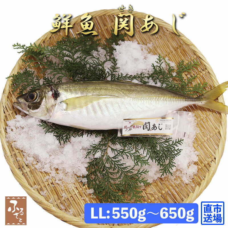 【 スーパーSALE 10%OFF 】 鮮魚 一本釣り 活け締め 大分 関アジ 約600g 村田水産 大分市公設地方卸売..