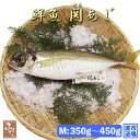 鮮魚 一本釣り 活け締め 大分 関アジ 約400g 村田水産 大分市公設地方卸売市場 産直 お取り寄せ アジ あじ 鰺 活け〆 活〆 刺身姿造り 魚介 魚 料理...
