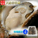 【予約 6月頃入荷予定】 牡蠣 殻付き 大分県産 天然 活き 岩牡蠣 10〜15個 約4kg 加熱用 送料無料 冷蔵 6月〜9月中旬 貝 牡蛎 カキ 殻付 魚介...