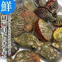 活き ヒオウギ貝 20枚 大分県産 市場直送 ひおうぎ貝 緋扇貝 貝柱 グラタン バターしょうゆ 生 大分 ひも 鮮魚 蒸し 冷蔵 海の幸