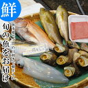 旬の魚介 鮮魚 貝 おまかせセット 極 魚市場から直送！...