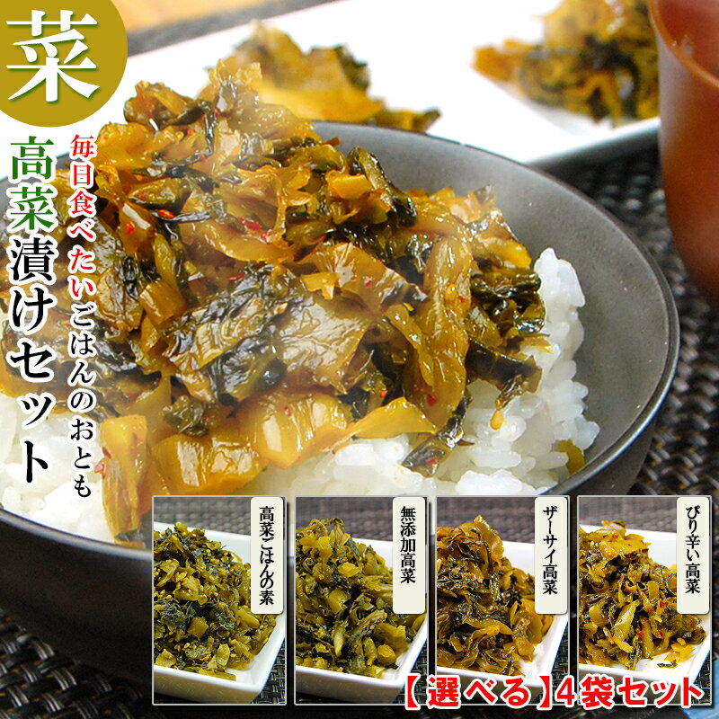 【選べる4種】 高菜 食べ比べ セット 大分県産 1000円 無添加 混ぜごはんの素 たかな 漬け物 辛子高菜 高菜ごはんの…